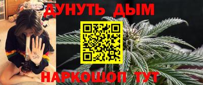 амф Новозыбков