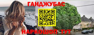 альфа пвп Новодвинск