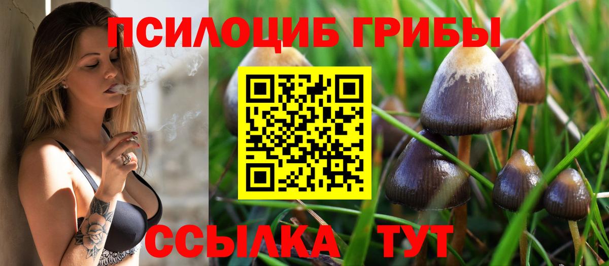 Тара  Псилоцибиновые грибы Psilocybine cubensis  Псилоцибиновые грибы Magic Shrooms  Вход с VPN 